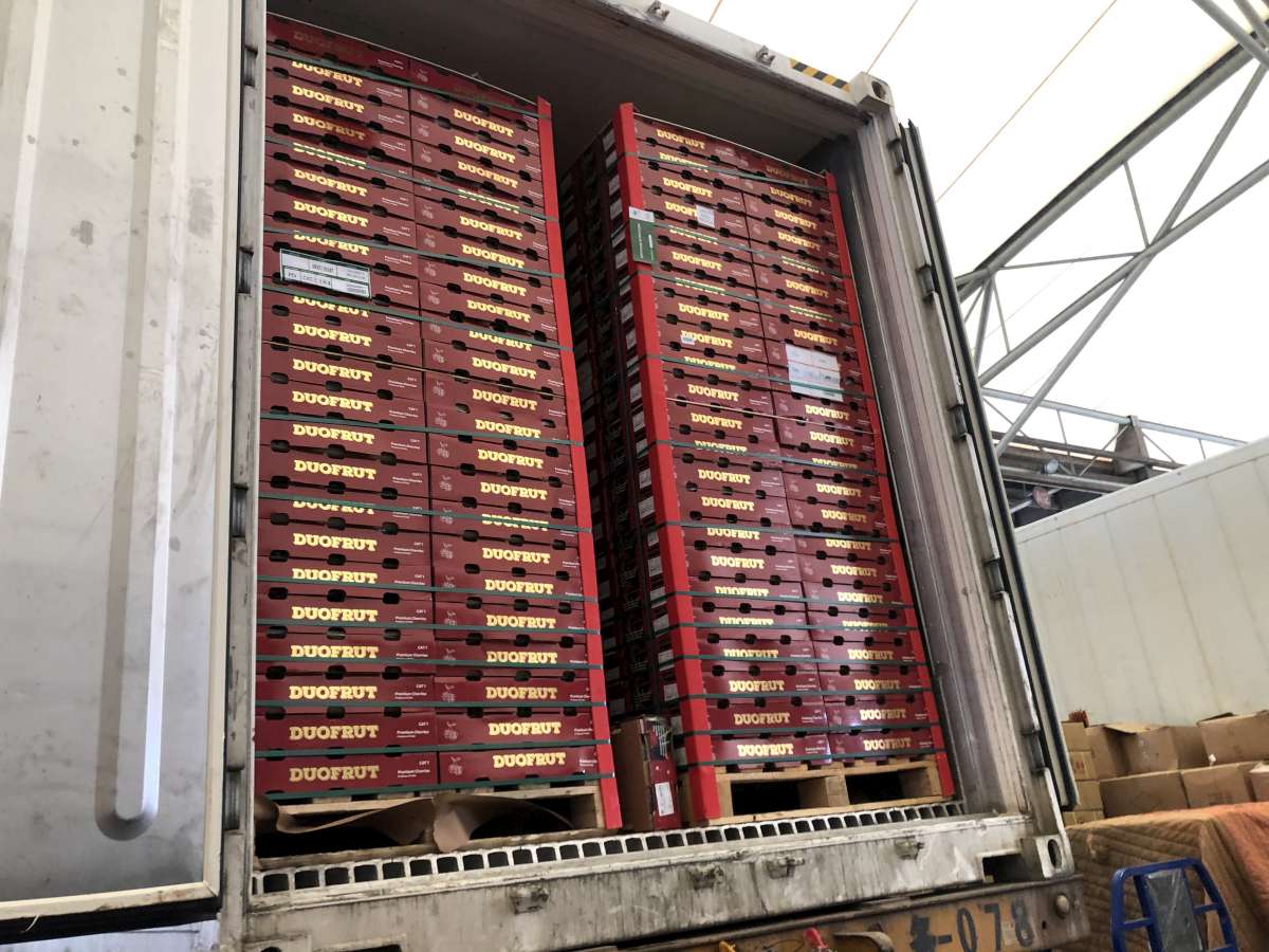 Container Devanning Survey