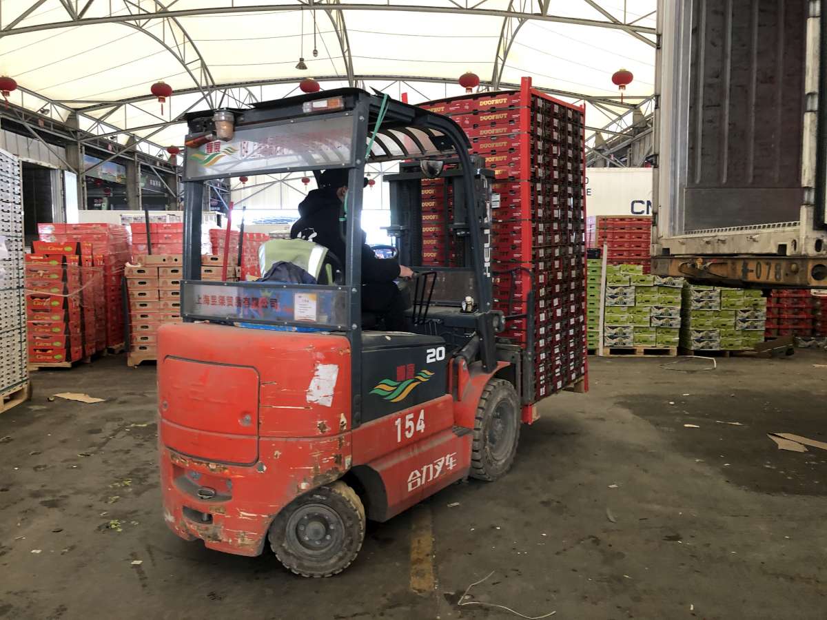 Container Devanning Survey