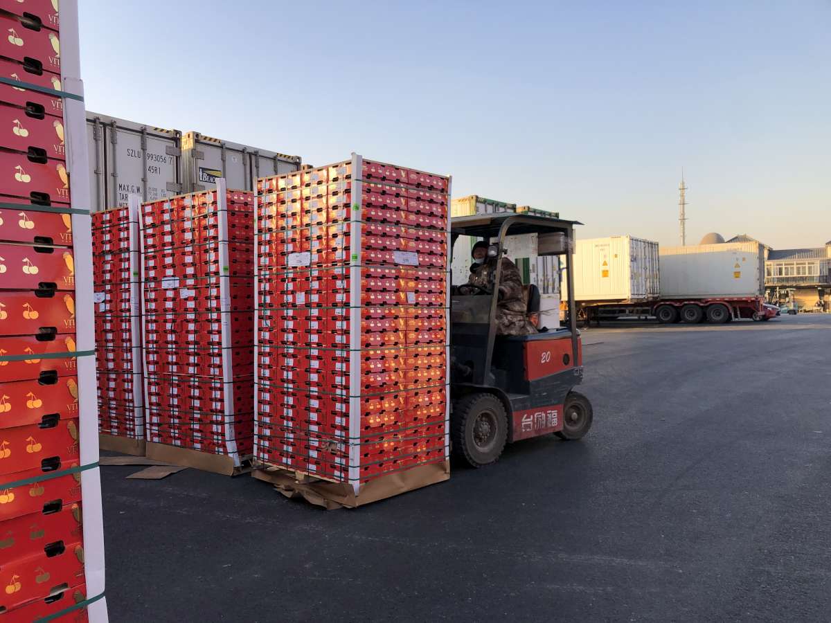 Container Devanning Survey