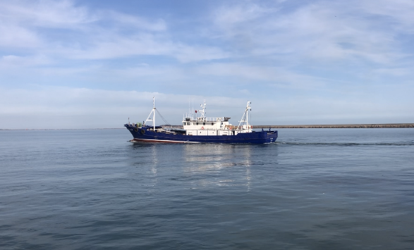 Drydock, Certificate, Bunker, Delivery by Crew to Gambia