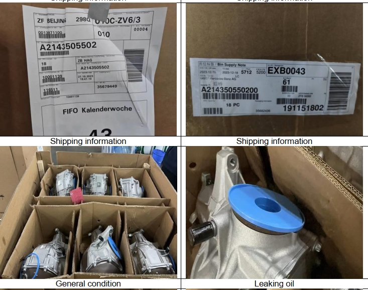 Cargo Damage Inspection at Factory